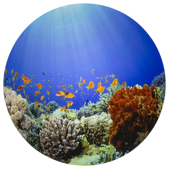 TickiT® 24.5" Under the Sea Discovery Play Mat